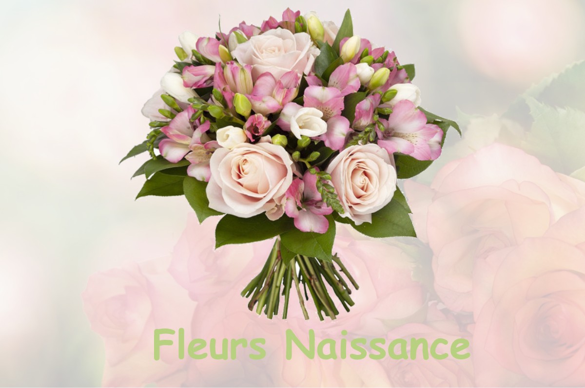 fleurs naissance BRIOSNE-LES-SABLES