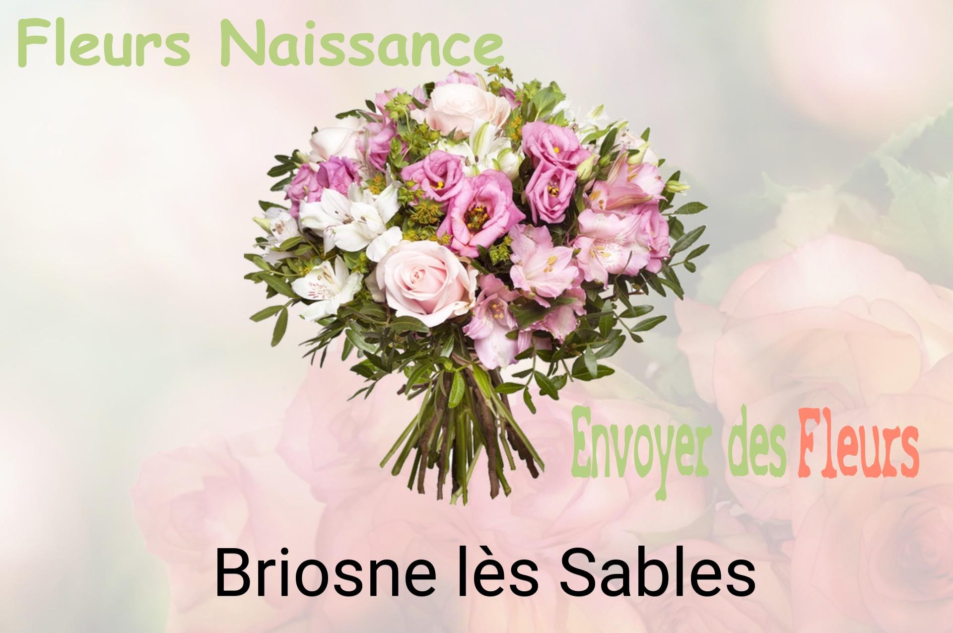Bouquet de fleurs de naissance livré à Briosne-lès-Sables