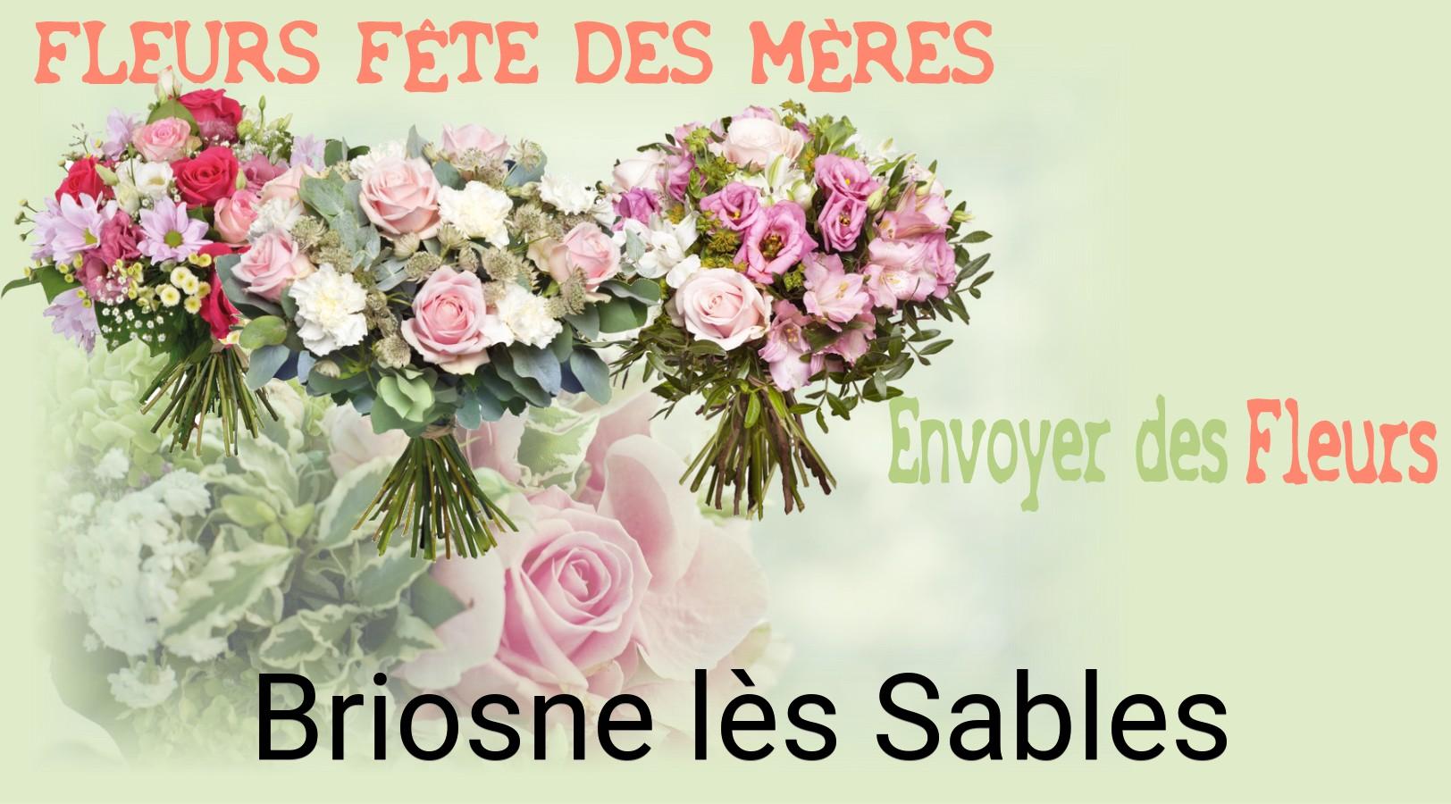Bouquet de Fête des Mères livré à Briosne-lès-Sables
